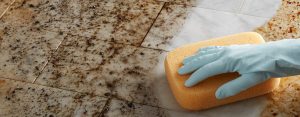 How To Clean Natural Stone Tile And Grout 2 Natural Stone and Grout