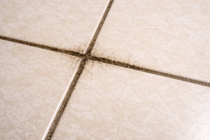how to clean floor tile grout