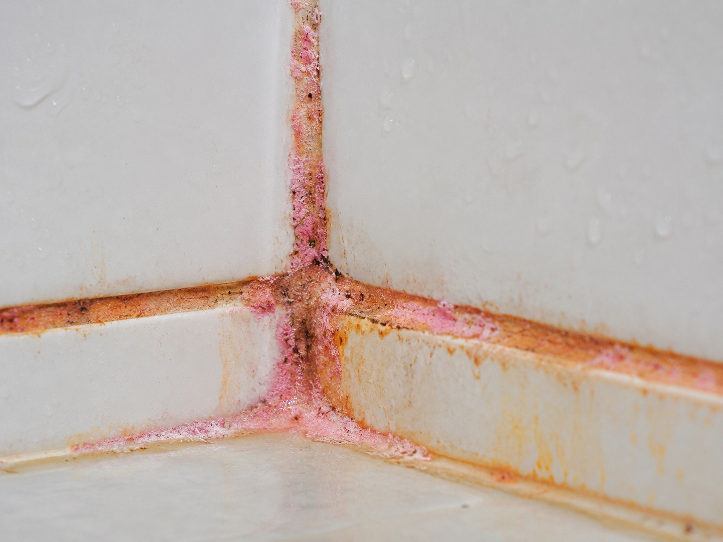 Close-up of pink mold causing orange discoloration in shower grout corner