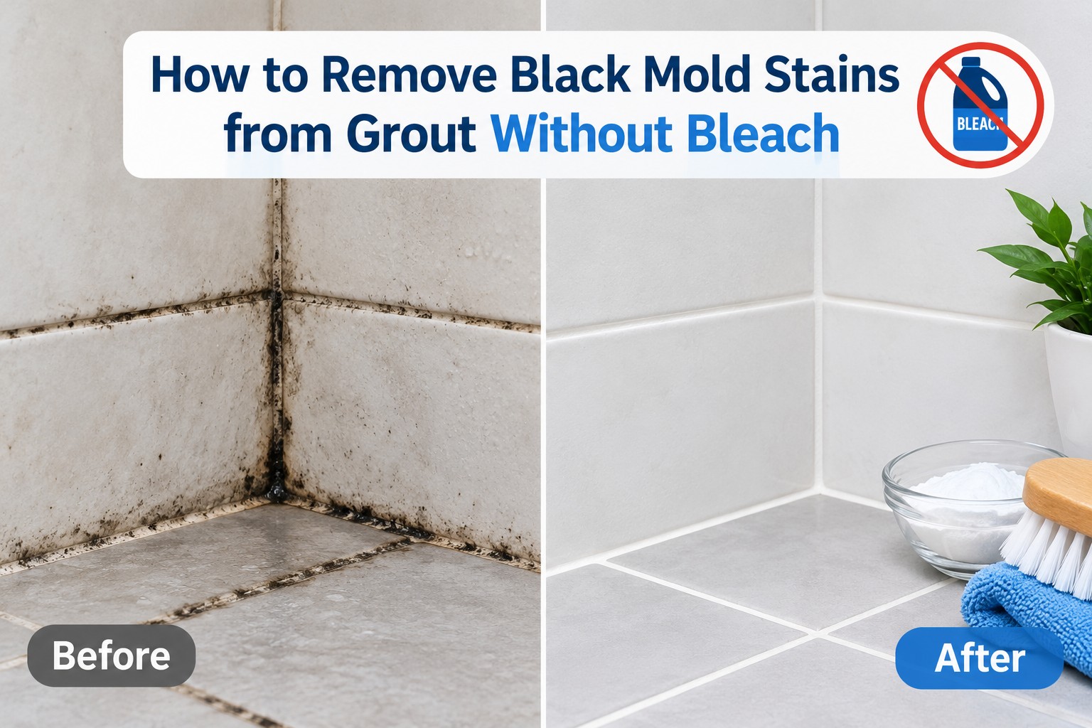 Remove Black Mold Stains from Grout